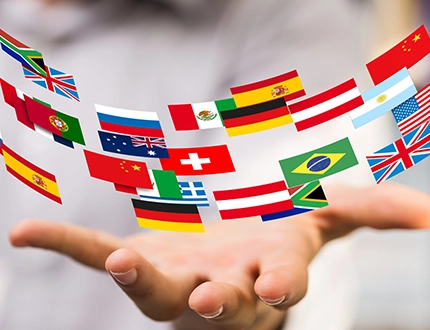 مجالات الترجمة